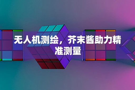 无人机测绘，芥末酱助力精准测量