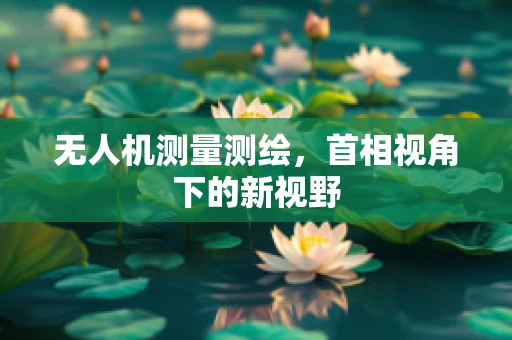 无人机测量测绘，首相视角下的新视野