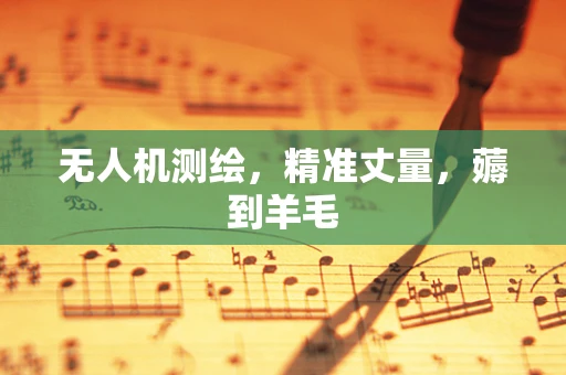 无人机测绘，精准丈量，薅到羊毛