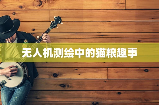无人机测绘中的猫粮趣事