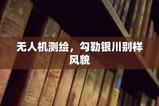 无人机测绘，勾勒银川别样风貌
