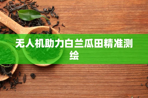 无人机助力白兰瓜田精准测绘