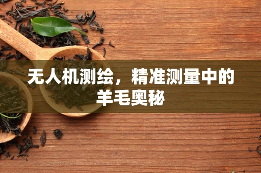 无人机测绘，精准测量中的羊毛奥秘