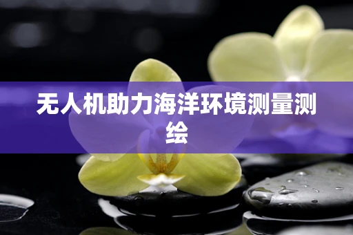 无人机助力海洋环境测量测绘