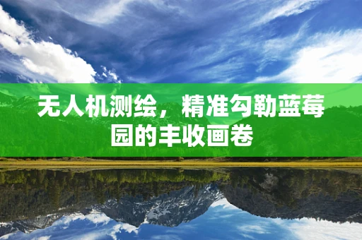 无人机测绘，精准勾勒蓝莓园的丰收画卷