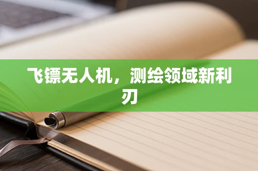 飞镖无人机，测绘领域新利刃