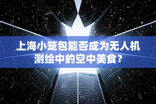 上海小笼包能否成为无人机测绘中的空中美食？