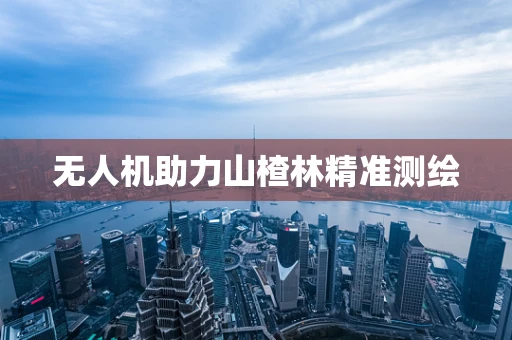 无人机助力山楂林精准测绘