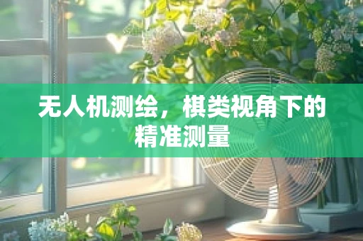 无人机测绘，棋类视角下的精准测量