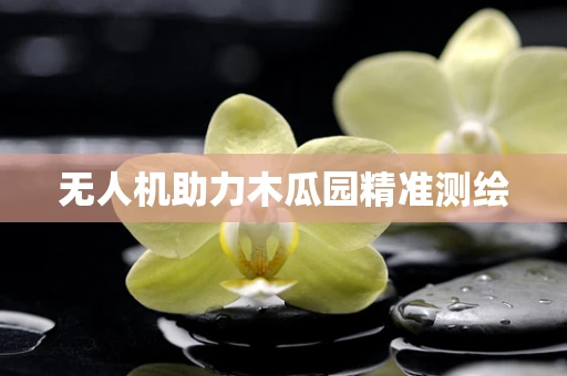 无人机助力木瓜园精准测绘