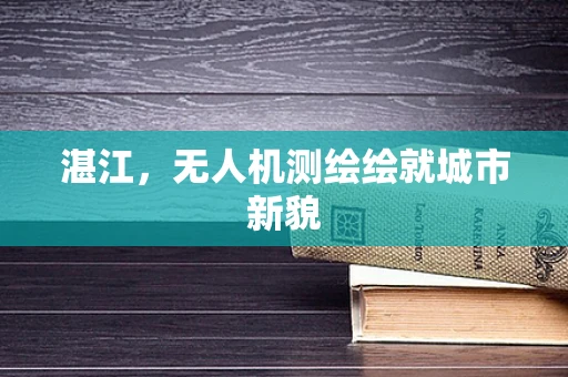 湛江，无人机测绘绘就城市新貌