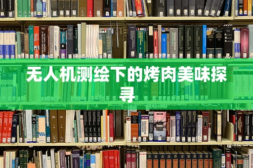无人机测绘下的烤肉美味探寻