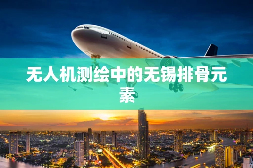 无人机测绘中的无锡排骨元素