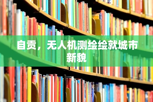 自贡，无人机测绘绘就城市新貌